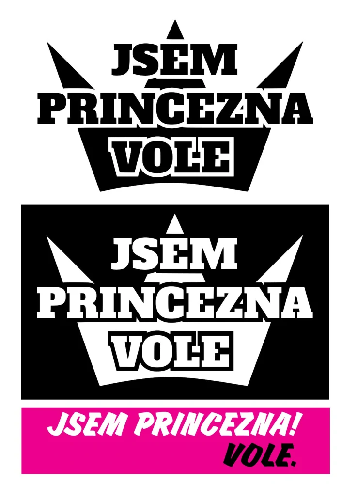 Jsem princezna, vole. nažehlovačka, 3 ks