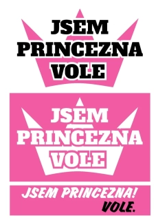 Jsem princezna, vole. PINK, nažehlovačka, 3 ks