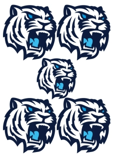  Bílý tygři Liberec nažehlovačka, 5 ks